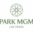 Lady Gaga Enigma Headlines Grand Opening Of New Las Vegas Resort, Park MGM Photo
