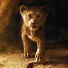 Disney's Film Chief Says THE LION KING Will Be New Form of Filmmaking Photo