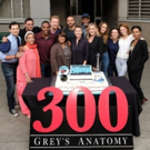 Photo: Cast of GREY'S ANATOMY Celebrates 300th Episode Photo