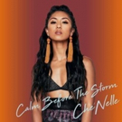 Singer-Songwriter Che'Nelle Debuts New Music Video for First Single 'Love You Like Me Video
