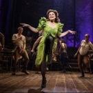 Wake Up With BWW 5/14: Hannah Corneau Joins WICKED, and More! Image