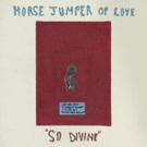 Horse Jumper Of Love Share AIRPORT Track On Stereogum Photo