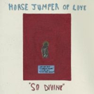 Horse Jumper Of Love Share AIRPORT Track On Stereogum