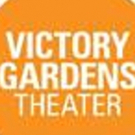 Victory Gardens Awarded David Rockefeller Fund Grant For New Public Programs Initiati Photo