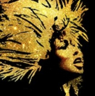 Book Now To Get Simply The Best Seats For Tina Turner Musical TINA Photo