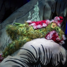 Review Roundup: HOW THE GRINCH STOLE CHRISTMAS at The Old Globe Theatre - What Did…
