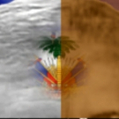 New Play Explores Why Immigrating Doesn't Always Mean Greener Grass