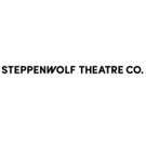 Steppenwolf's Professional Leadership Fellows Present CRAFTING A COHORT
