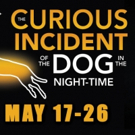 BWW Review: THE CURIOUS INCIDENT OF THE DOG IN THE NIGHT-TIME at Theatre Tulsa