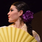 Flamenco Fiesta Comes to Teatro Paraguas Photo