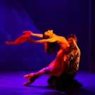 Review Roundup: What Did the Critics Think of THE BEAST IN THE JUNGLE?