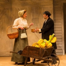 BWW Review: THE IMMIGRANT at GSP Touches Your Heart and Soul Video