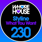 Styline Delivers New Club Weapon 'What You Want' on Whore House Records Photo