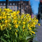 Kansallisteatterissa ennätyksellisen runsas ohjelmisto Suomen itsenäisyyden juhlavuon