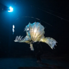 Explore Prehistoric Oceans With ERTH'S PREHISTORIC AQUARIUM ADVENTURE At The Southern