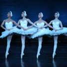 Moscow Festival Ballet Presents SWAN LAKE Photo