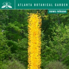 Chihuly Sculpture Lands Permanent Home In Garden