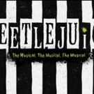 Pre-Broadway Tryout of BEETLEJUICE Announces Ticket Lottery Photo