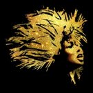 TINA - THE TINA TURNER MUSICAL Tickets Go On Sale This Week Photo