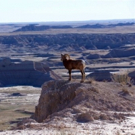 Smithsonian Channel Premieres AMERICA'S BADLANDS, Today