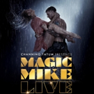 MAGIC MIKE LIVE Extends Due To Overwhelming Demand Photo