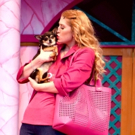 BWW Review: LEGALLY BLONDE: THE MUSICAL Shakes Up the PINEWOOD BOWL Video