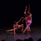 FJK Dance To Preview New Work, 'Untold,' At Hudson River Museum Photo