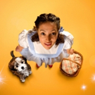 Birmingham Repertory Theatre Seeks Canine Star For THE WIZARD OF OZ Photo