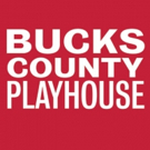 Bucks County Playhouse Announces The New Playhouse Institute For Educators Photo