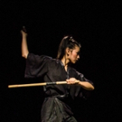 Ninja Ballet 2018 Season to Fuse Ballet And Martial Arts Video