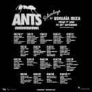 ANTS Reveal Full Weekly Breakdowns For 2019 Ibiza Season  Photo