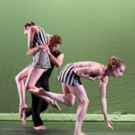 Amanda Selwyn Dance Theatre Introduces New Dancers Photo