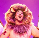 BWW Review: MADAGASCAR THE MUSICAL, King's Theatre, Glasgow