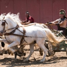 Smithsonian Channel Presents Two-Hour Special ROME'S CHARIOT SUPERSTAR Photo