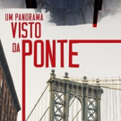 BWW Review: Arthur Miller's UM PANORAMA VISTO DA PONTE (A View from the Bridge) opens Video