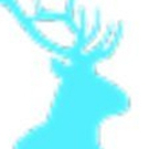 Buck Productions Set To Produce Female Driven Fiction Series BOUNDLESS