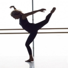 See Chicago Dance Presents Day Of Dancer Health Video