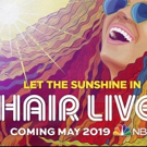 Photo Flash: First Look at Just-Released Promo Art for NBC's HAIR LIVE! Video