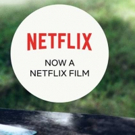 Jenny Han, author of TO ALL THE BOYS I'VE LOVED BEFORE, now a Netflix Movie Interview