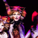 BWW Review: CATS at Popejoy Hall Photo
