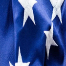 Theatre on the Move Presents AN AMERICAN CELEBRATION