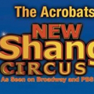 SHANGHAI CIRCUS Plays at the Nathan H. Wilson Center for the Arts Photo