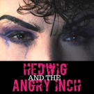 BWW Review: HEDWIG AND THE ANGRY INCH at The Laboratory Theater Of Florida