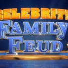 ABC Green Lights SUNDAY FUN & GAMES Return; CELEBRITY FAMILY FUED, THE $100,000 PYRAM Photo