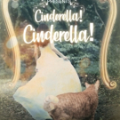 Howard Community College Presents CINDERELLA! CINDERELLA! Photo