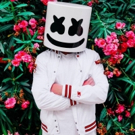 Marshmello to Visit Empire State Building Photo