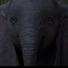 VIDEO: See An Elephant Fly In the Official Trailer for Tim Burton's DUMBO! Video