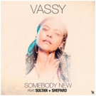 VASSY Launches New Single SOMEBODY NEW With Canadian Grammy Nominees Sultan + Shepard Photo