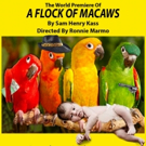 A FLOCK OF MACAWS By Sam Henry Kass To Make World Premiere at Theatre 68 Photo