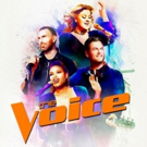 Find Out Which Performances Made it to the Next Round of THE VOICE